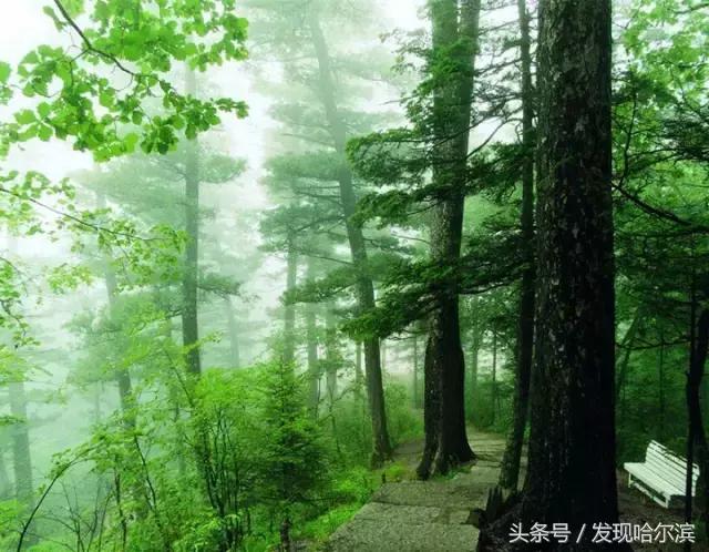 哈尔滨旅游一日游景点推荐（哈尔滨人周末出游小攻略）(66)