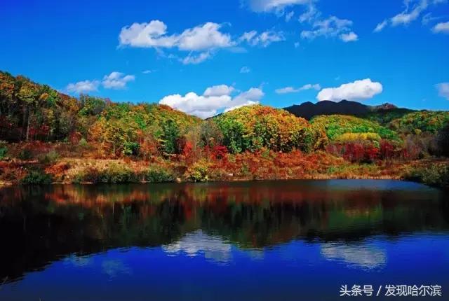 哈尔滨旅游一日游景点推荐（哈尔滨人周末出游小攻略）(40)