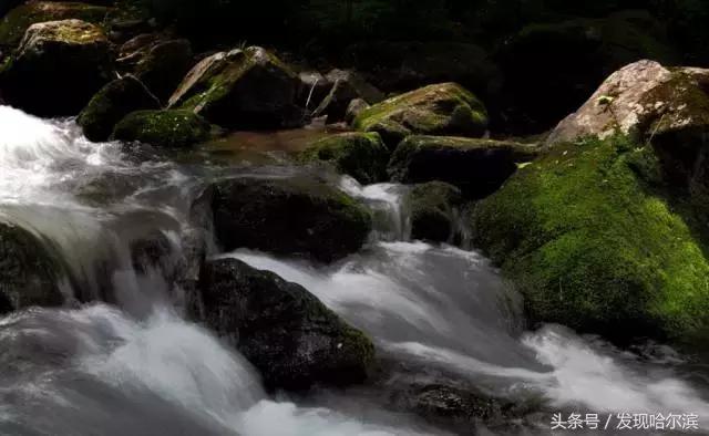哈尔滨旅游一日游景点推荐（哈尔滨人周末出游小攻略）(13)