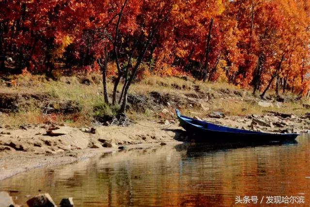哈尔滨旅游一日游景点推荐（哈尔滨人周末出游小攻略）(72)