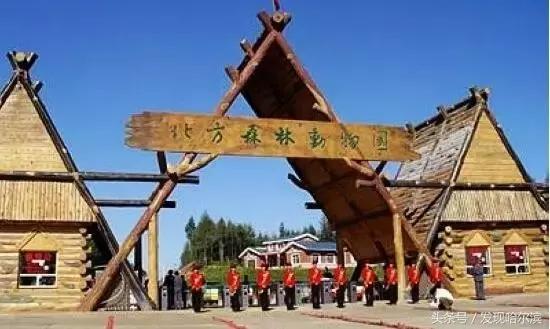 哈尔滨旅游一日游景点推荐（哈尔滨人周末出游小攻略）(43)