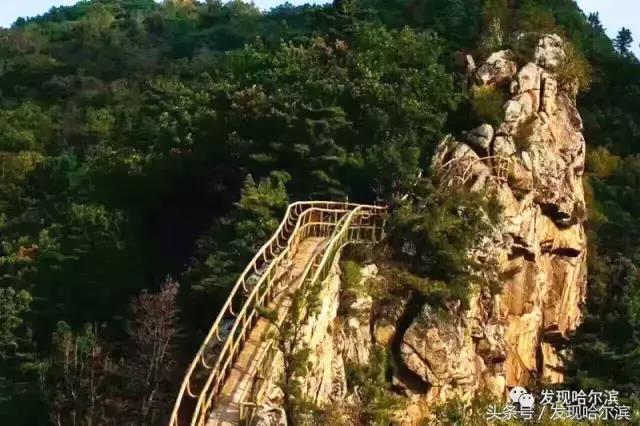 哈尔滨旅游一日游景点推荐（哈尔滨人周末出游小攻略）(18)