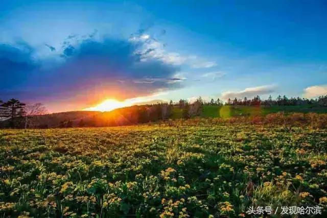 哈尔滨旅游一日游景点推荐（哈尔滨人周末出游小攻略）(41)