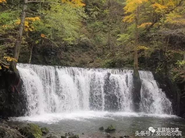 哈尔滨旅游一日游景点推荐（哈尔滨人周末出游小攻略）(21)