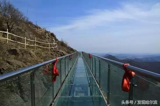 哈尔滨旅游一日游景点推荐（哈尔滨人周末出游小攻略）(24)