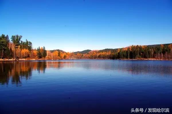 哈尔滨旅游一日游景点推荐（哈尔滨人周末出游小攻略）(67)