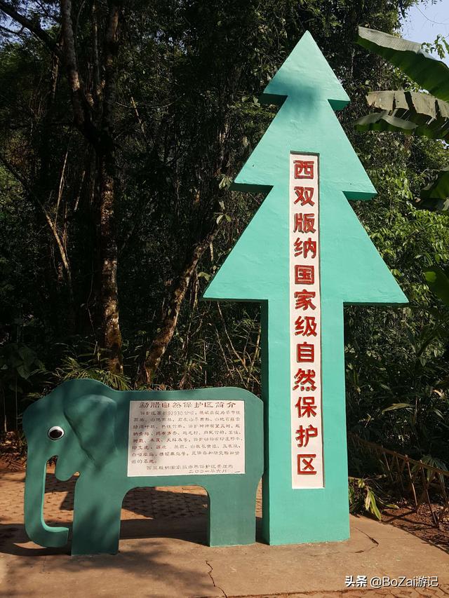 云南西双版纳必游景点（到云南西双版纳旅游必去的17大景点）(78)
