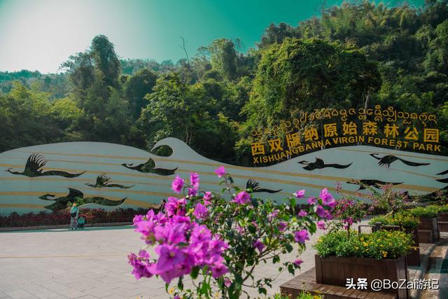 云南西双版纳必游景点（到云南西双版纳旅游必去的17大景点）(13)