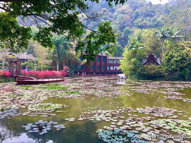 云南西双版纳必游景点（到云南西双版纳旅游必去的17大景点）(45)