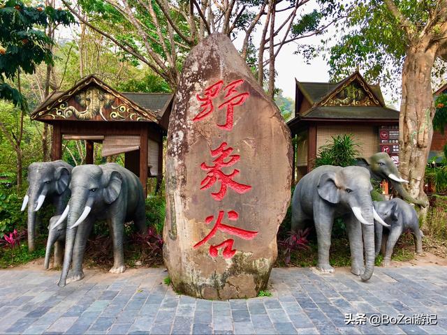 云南西双版纳必游景点（到云南西双版纳旅游必去的17大景点）(43)