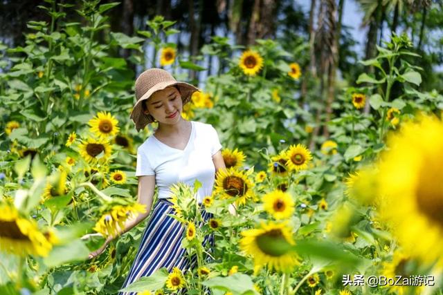 云南西双版纳必游景点（到云南西双版纳旅游必去的17大景点）(35)