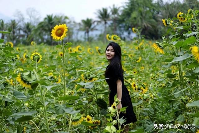 云南西双版纳必游景点（到云南西双版纳旅游必去的17大景点）(3)