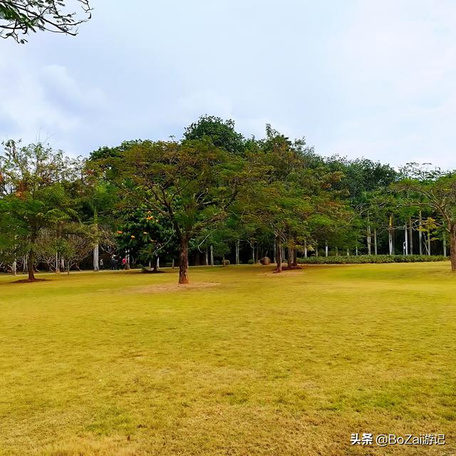 云南西双版纳必游景点（到云南西双版纳旅游必去的17大景点）(12)