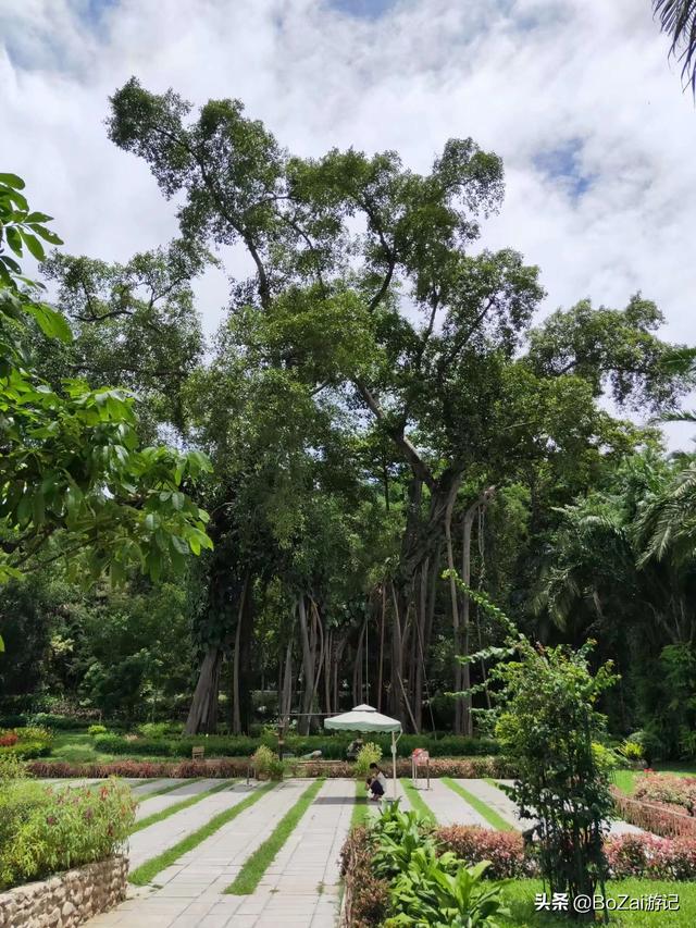 云南西双版纳必游景点（到云南西双版纳旅游必去的17大景点）(68)