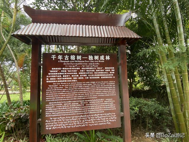 云南西双版纳必游景点（到云南西双版纳旅游必去的17大景点）(65)