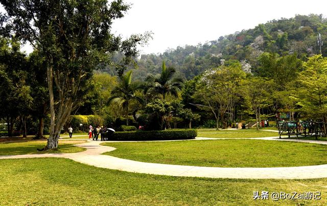 云南西双版纳必游景点（到云南西双版纳旅游必去的17大景点）(18)