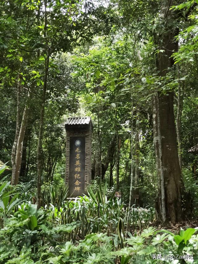 云南西双版纳必游景点（到云南西双版纳旅游必去的17大景点）(72)