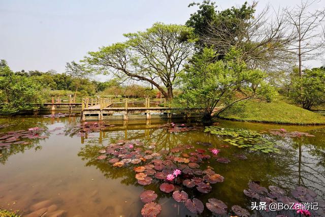 云南西双版纳必游景点（到云南西双版纳旅游必去的17大景点）(86)