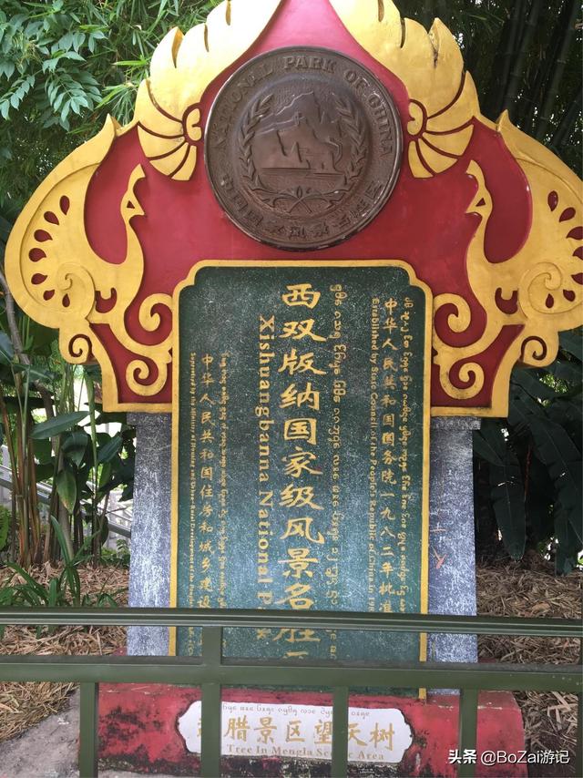 云南西双版纳必游景点（到云南西双版纳旅游必去的17大景点）(76)