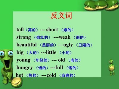 ​strong的反义词（strong是什么意思）