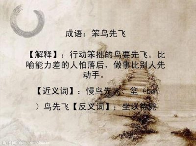 ​笨鸟先飞什么意思