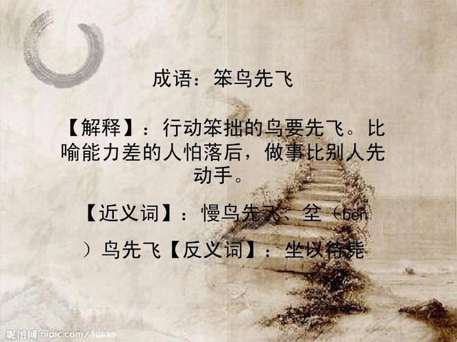笨鸟先飞什么意思