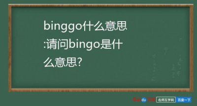 ​binggo什么意思（binggo解释）