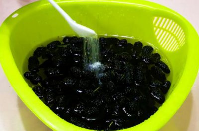 ​桑葚怎么洗才能干净（桑葚一定要用盐水泡吗）