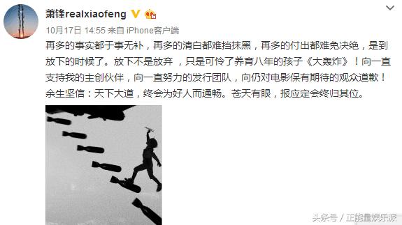 大轰炸为什么取消了公映（大轰炸取消上映引热议）(3)