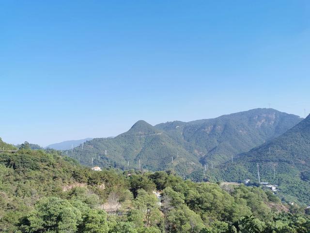 广东东莞旅游必去十大景点（留在东莞过年这15个4A旅游景区）(10)