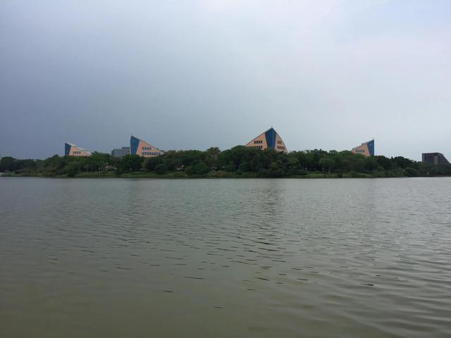 广东东莞旅游必去十大景点（留在东莞过年这15个4A旅游景区）(7)