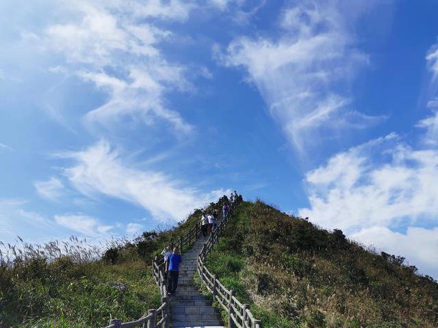 广东东莞旅游必去十大景点（留在东莞过年这15个4A旅游景区）(21)