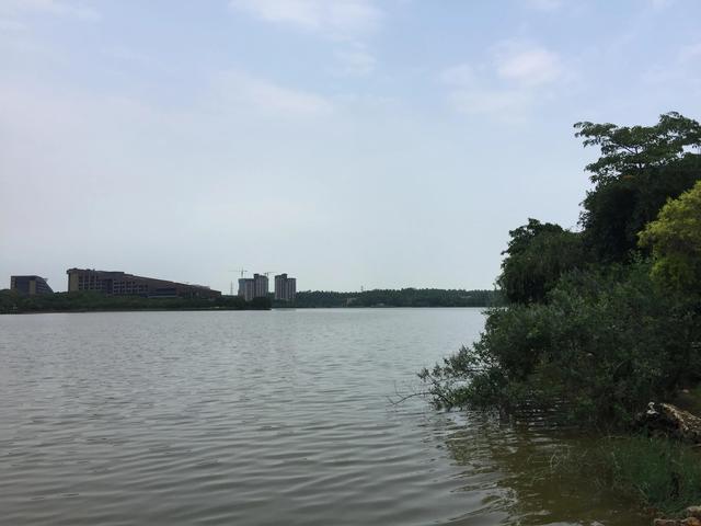 广东东莞旅游必去十大景点（留在东莞过年这15个4A旅游景区）(8)