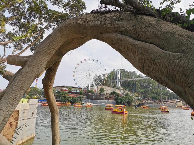 广东东莞旅游必去十大景点（留在东莞过年这15个4A旅游景区）(25)