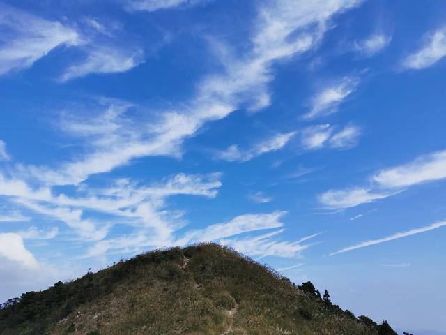广东东莞旅游必去十大景点（留在东莞过年这15个4A旅游景区）(20)