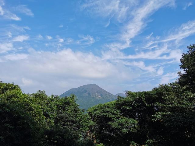 广东东莞旅游必去十大景点（留在东莞过年这15个4A旅游景区）(22)