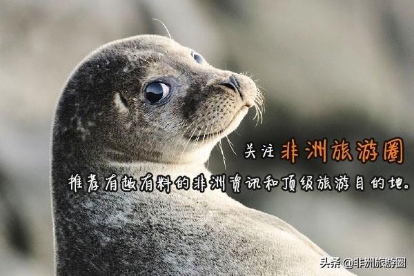 南非首都叫什么（你知道南非城市的这些）(11)