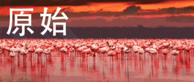 ​南非首都叫什么（你知道南非城市的这些）