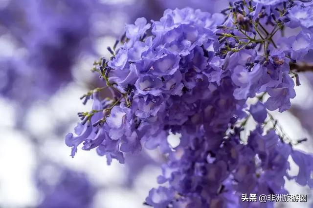 南非首都叫什么（你知道南非城市的这些）(8)
