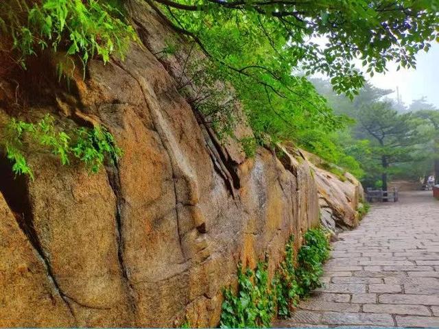 盘山最新旅游攻略一日游线路（十一游盘山旅游攻略来啦）(9)