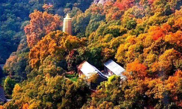 盘山最新旅游攻略一日游线路（十一游盘山旅游攻略来啦）(6)