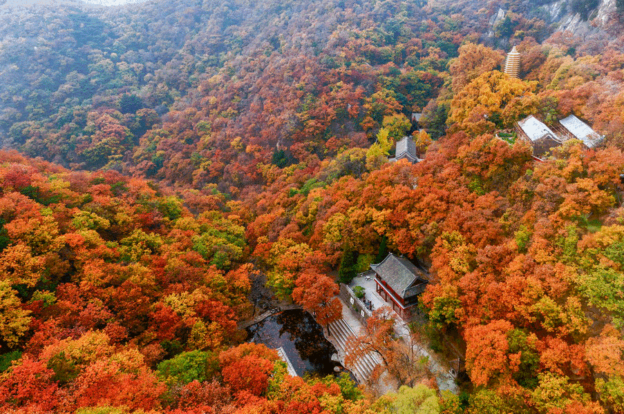 盘山最新旅游攻略一日游线路（十一游盘山旅游攻略来啦）(3)