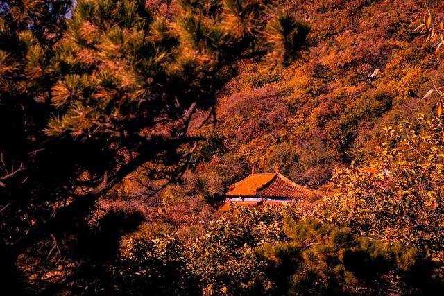盘山最新旅游攻略一日游线路（十一游盘山旅游攻略来啦）(11)