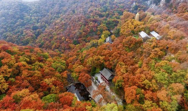 盘山最新旅游攻略一日游线路（十一游盘山旅游攻略来啦）(22)