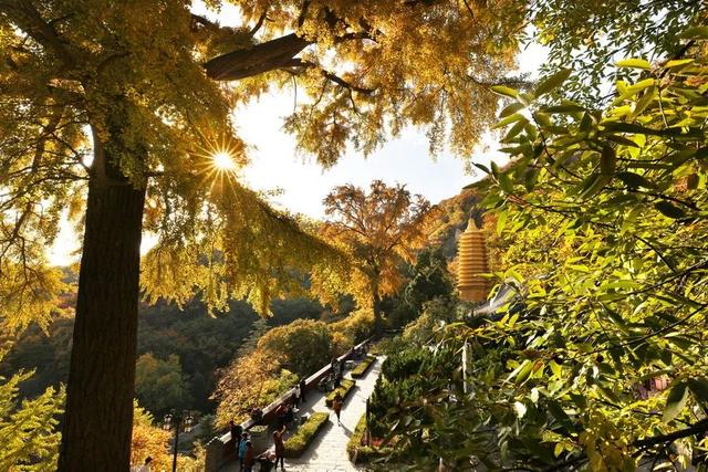 盘山最新旅游攻略一日游线路（十一游盘山旅游攻略来啦）(12)