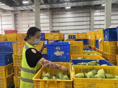 ​美团优选工作是做什么（记录我在美团优选的工作经历）