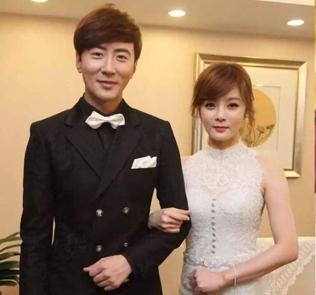 蔡琳为什么会和老公离婚 从蔡琳婚姻败北归国(2)