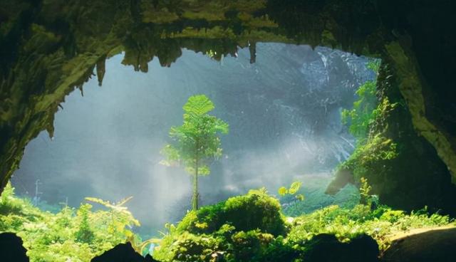 广西壮族自治区巴马旅游景点介绍（盘点广西111个区县所有景点）(4)