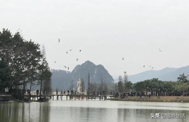 广东有几个湿地公园（广东的湿地公园盘点）(6)