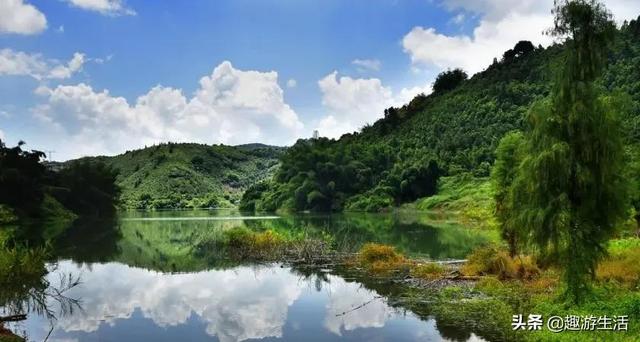 广东有几个湿地公园（广东的湿地公园盘点）(7)